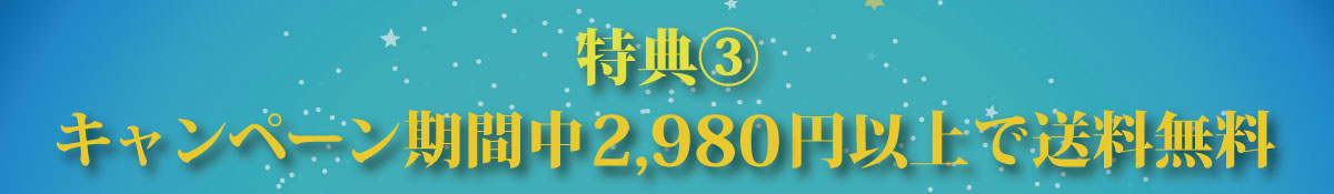 特典③キャンペーン期間中2,980円以上で送料無料