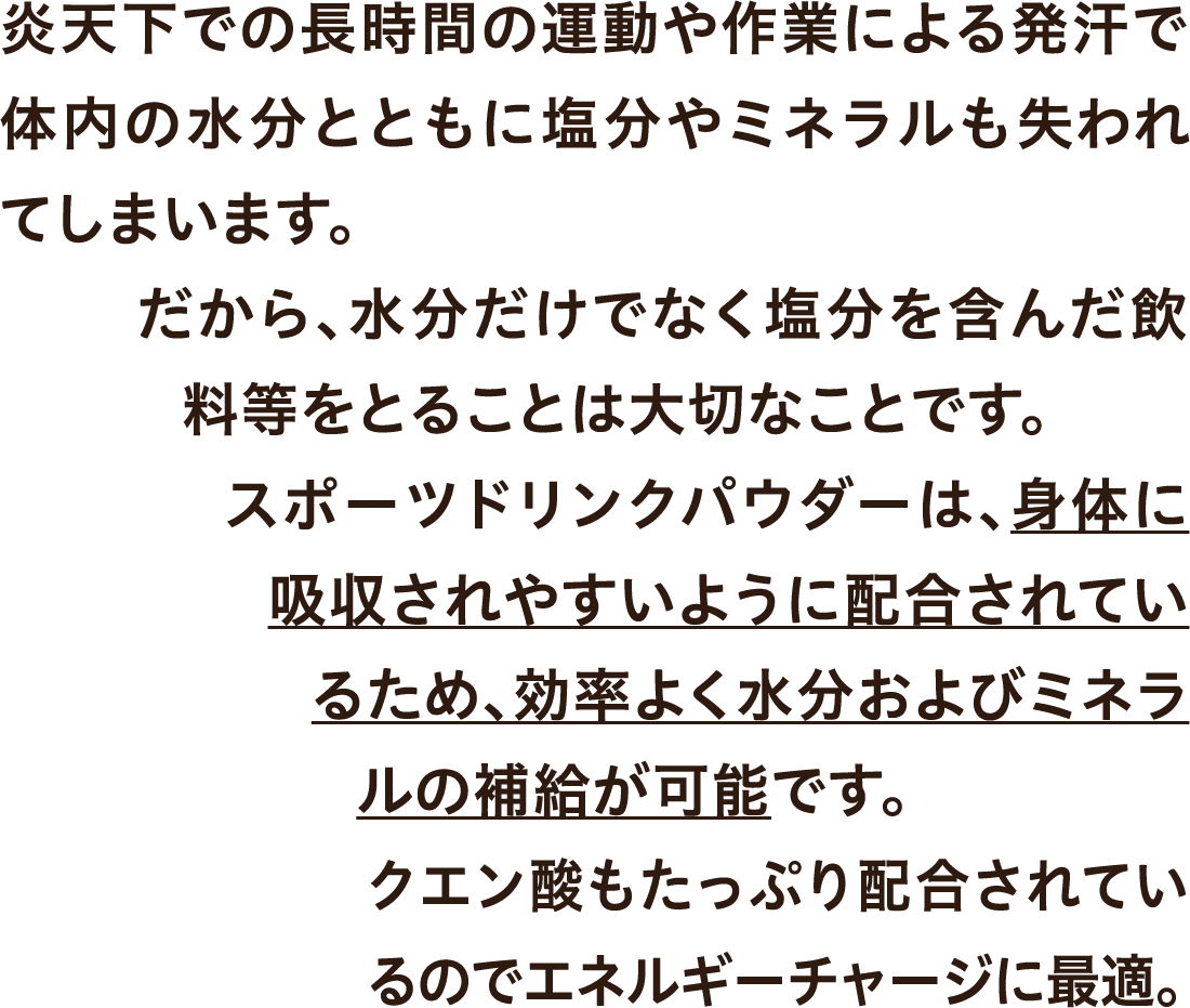 炎天下での長時間の運動や作業による発汗時のエネルギーチャージに最適